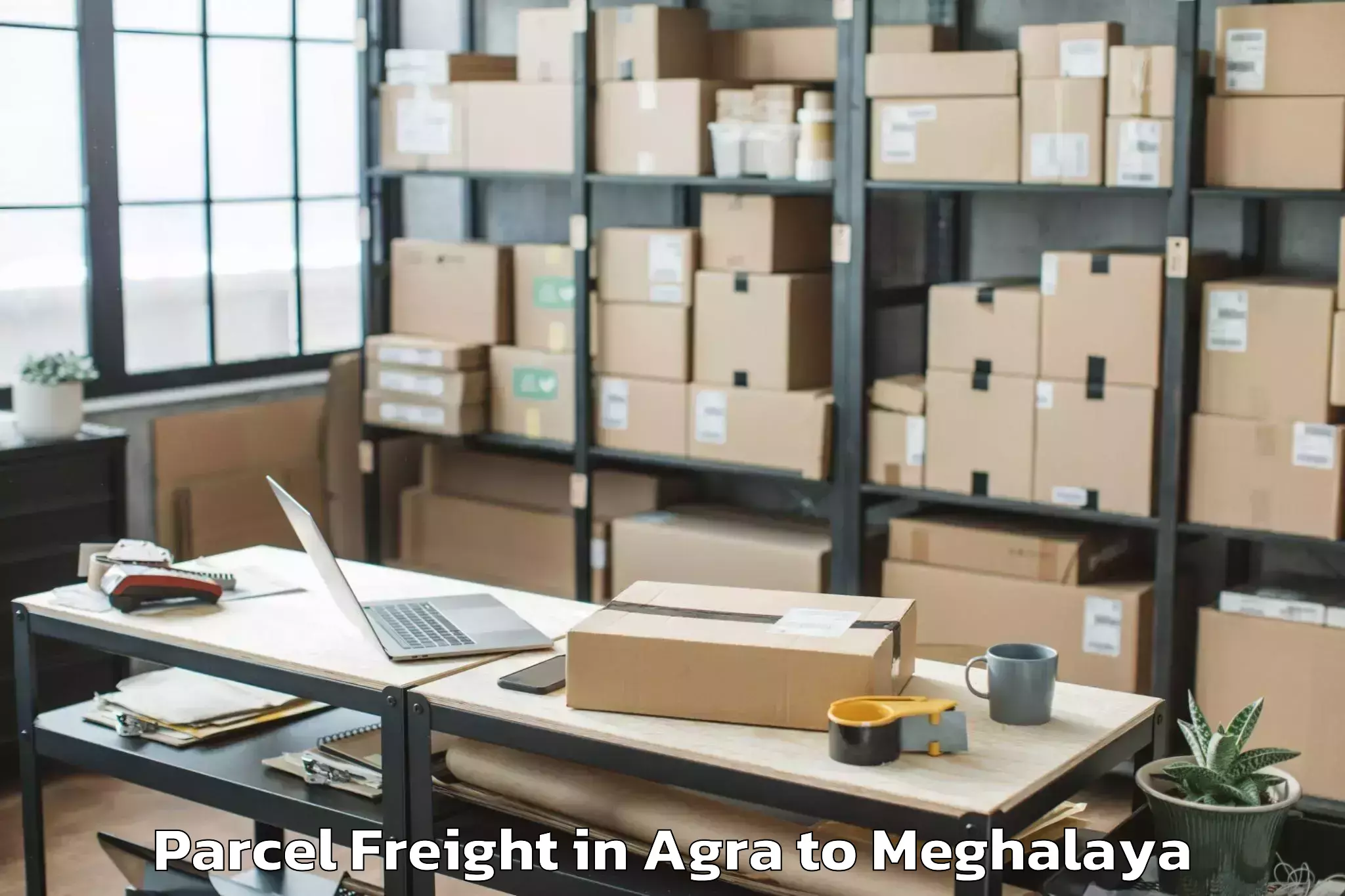 Book Your Agra to Williamnagar Parcel Freight Today